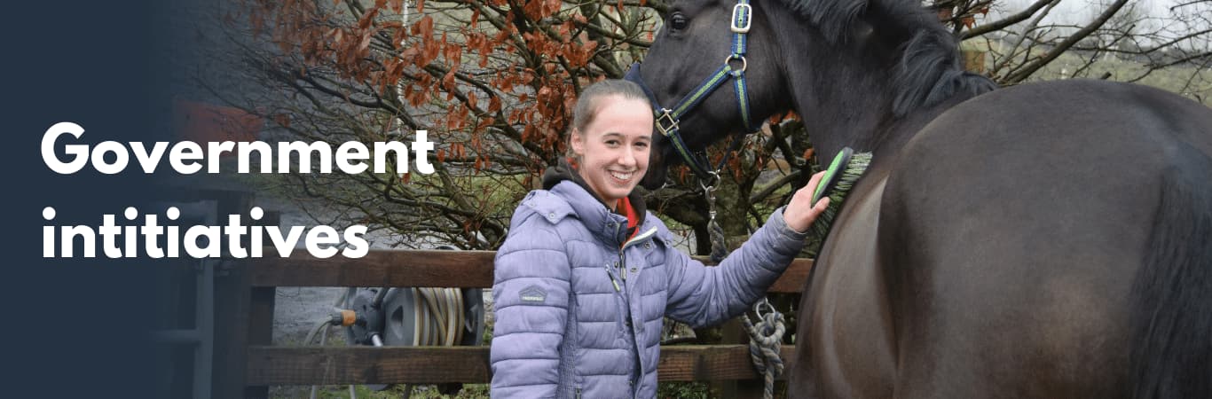 Girl grooms horse