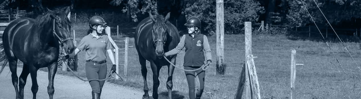 Equestrian Employer Association Members with Horses