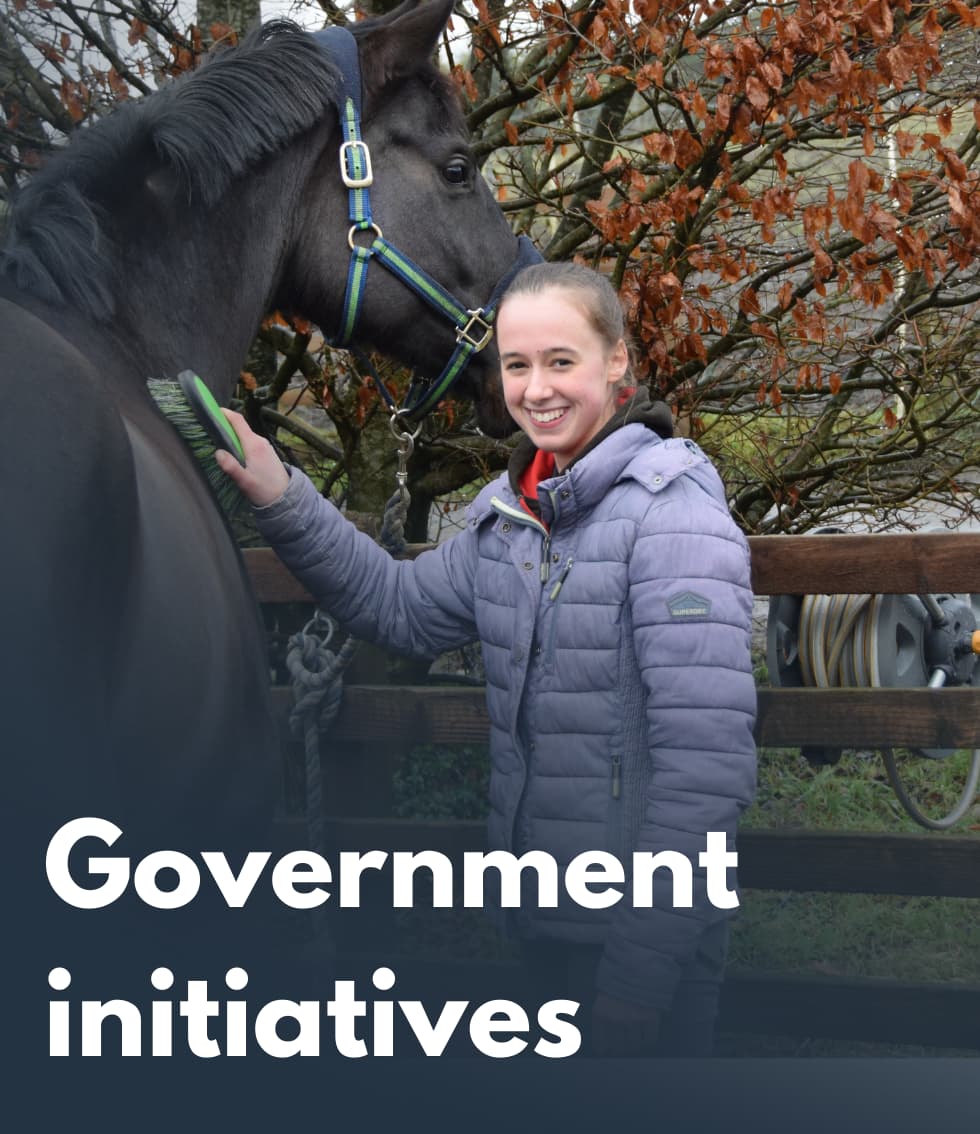 Girl grooms horse - government initiatives