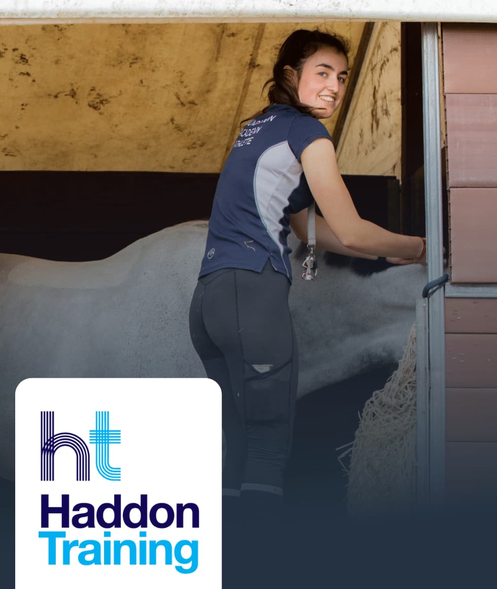 Girl plaiting horse - haddon training