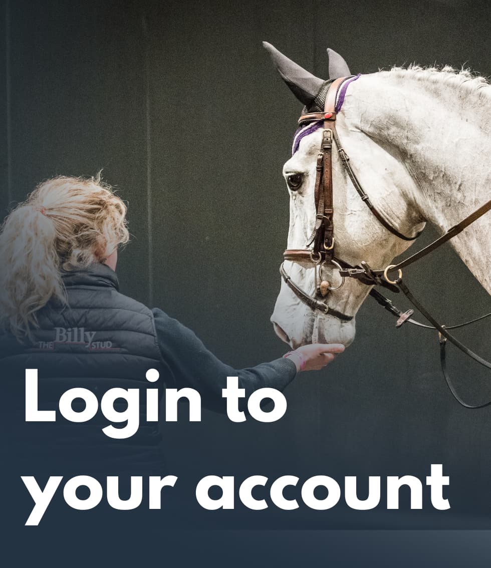 Login - groom giving treat to horse