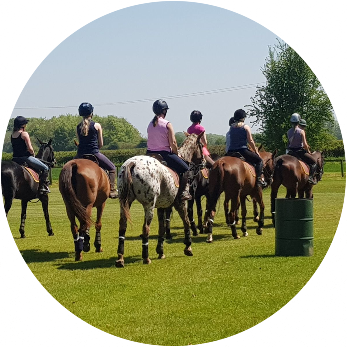 Riding establishment riders
